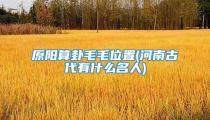 原阳算卦毛毛位置(河南古代有什么名人)