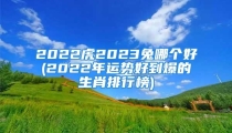 2022虎2023兔哪个好(2022年运势好到爆的生肖排行榜)