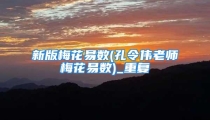 新版梅花易数(孔令伟老师梅花易数)_重复