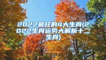 2022最旺的4大生肖(2022生肖运势大解析十二生肖)