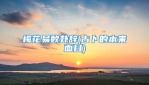 梅花易数卦辞(占卜的本来面目)
