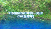 71属猪2021年有一灾(2019金猪年)