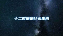 十二时辰是什么生肖