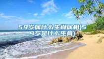 59岁属什么生肖属相(59岁是什么生肖)