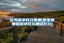 公司名字打分免费(宝宝免费取名字打分测试打分)