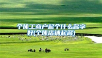 个体工商户起个什么名字好(个体店铺起名)