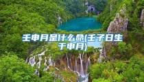 壬申月是什么命(壬子日生于申月)