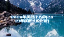 2o2o年属鼠什么命(2021年属鼠人的财运)