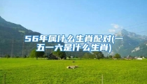 56年属什么生肖配对(一五一六是什么生肖)