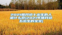2021腊月初十出生的人是什么命(2021年腊月初五出生的宝宝)