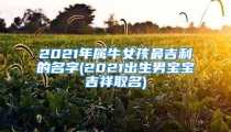 2021年属牛女孩最吉利的名字(2021出生男宝宝吉祥取名)