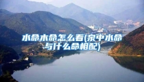 水命木命怎么看(泉中水命与什么命相配)