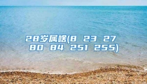 28岁属啥(8 23 27 80 84 251 255)