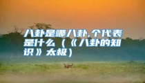 八卦是哪八卦,个代表是什么(《八卦的知识》太极)