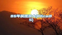 86年属啥多大(86cm85)