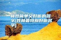 林姓简单又好听的名字(姓林最特别好听名字)