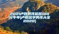 2021卢姓男孩起名100分牛年(卢取名字男孩大全2020)