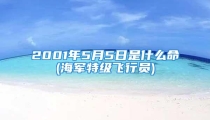 2001年5月5日是什么命(海军特级飞行员)