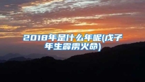 2018年是什么年呢(戊子年生霹雳火命)