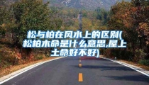松与柏在风水上的区别(松柏木命是什么意思,屋上土命好不好)