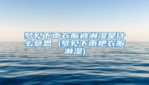 梦见下雨衣服被淋湿是什么意思 (梦见下雨把衣服淋湿)