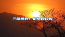 三命通会:论年月日时