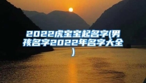 2022虎宝宝起名字(男孩名字2022年名字大全)