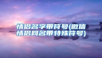 情侣名字带符号(微信情侣网名带特殊符号)