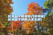 旺夫益子的女命八字特征(旺夫益子命的人怎么样)