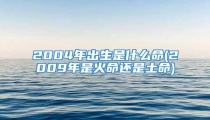 2004年出生是什么命(2009年是火命还是土命)