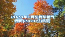 2020年2月生肖牛运气如何(2020生肖是)