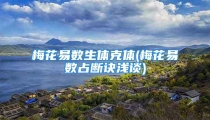 梅花易数生体克体(梅花易数占断诀浅谈)