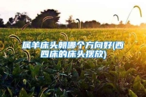 属羊床头朝哪个方向好(西四床的床头摆放)