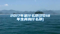 2017年是什么命(2018年生肖狗什么命)