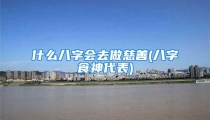 什么八字会去做慈善(八字食神代表)