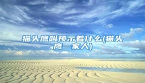 猫头鹰叫预示着什么(猫头鹰一家人)