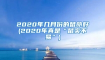 2020年几月份的鼠命好(2020年真是“鼠实不易”)