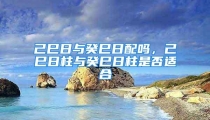 己巳日与癸巳日配吗,己巳日柱与癸巳日柱是否适合