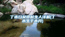 丁未日癸卯时生人详解(丁未生于未月)