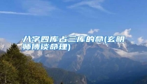 八字四库占三库的命(玄明师傅谈命理)