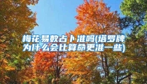 梅花易数占卜准吗(塔罗牌为什么会比算命更准一些)