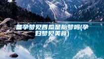备孕梦见西瓜是胎梦吗(孕妇梦见美食)