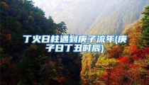 丁火日柱遇到庚子流年(庚子日丁丑时辰)