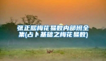 张正熙梅花易数内部班全集(占卜基础之梅花易数)