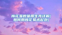 梅花易数体用生克详解(如何用梅花易术起卦)