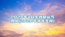 2020年4月生肖鼠运气如何(2020年本年生肖)