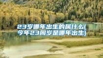 23岁哪年出生的属什么(今年23周岁是哪年出生)