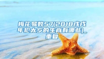 梅花易数57(2018戊戌年犯太岁的生肖有哪些)_重复