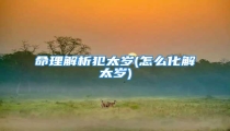 命理解析犯太岁(怎么化解太岁)