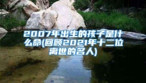 2007年出生的孩子是什么命(回顾2021年十二位离世的名人)